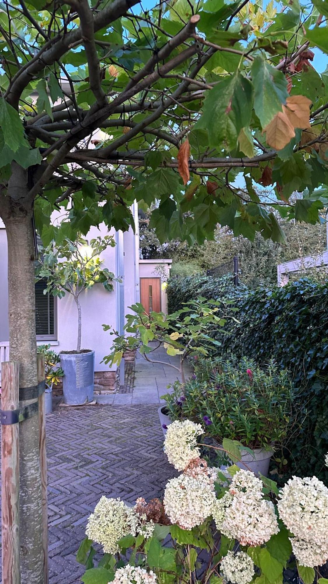 Luxe B&B "In De Schulp", Ontspan En Geniet Van Comfort En Stijl Amstelveen Exterior photo